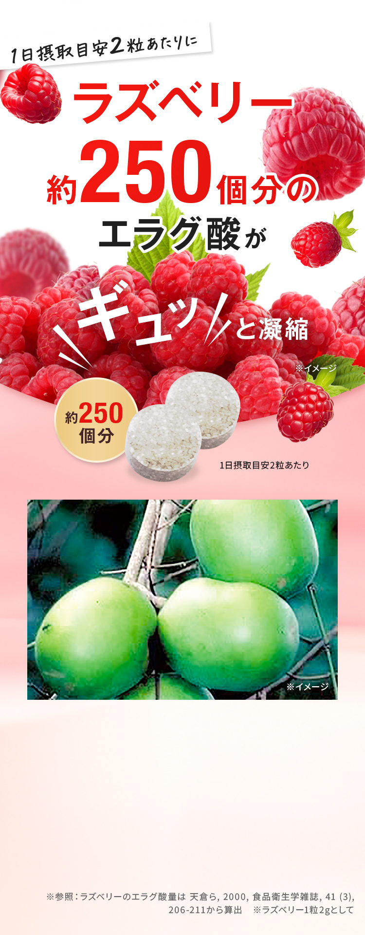 ラズベリー約250個分のエラグ酸がギュッと凝縮
