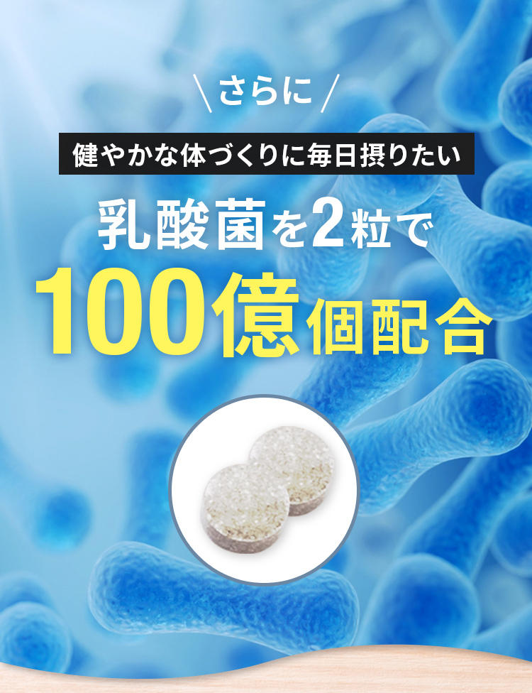 乳酸菌を2粒で100億個配合