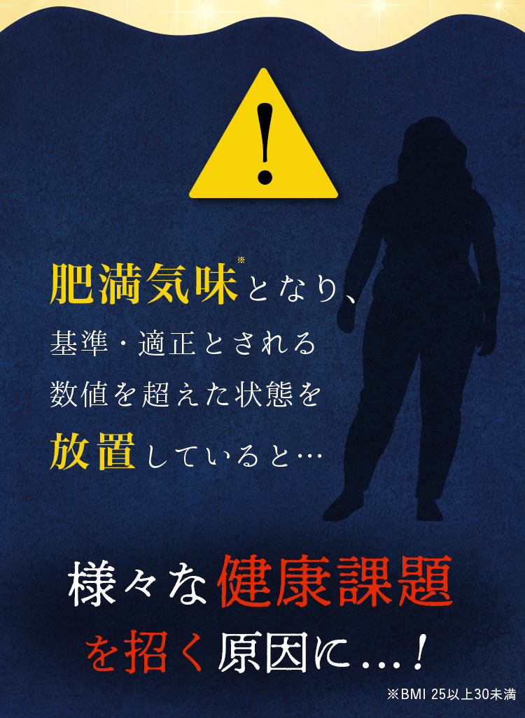 肥満気味となり放置していると様々な健康課題 を招く原因に...