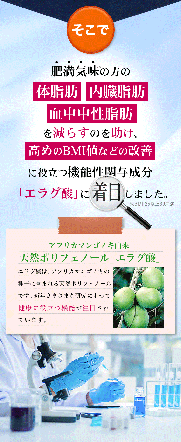 機能性関与成分「エラグ酸」に着目しました